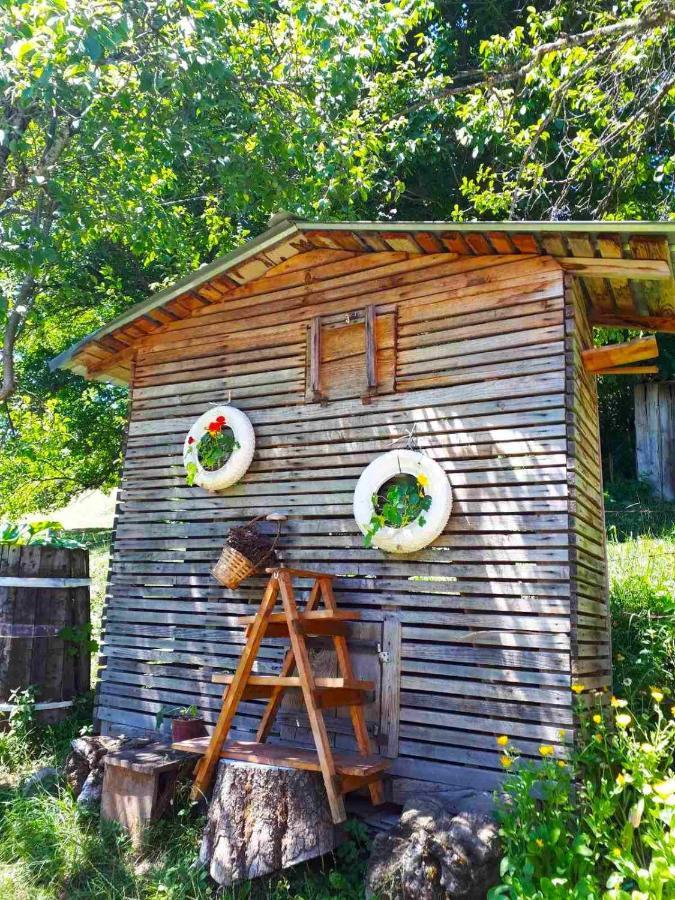 Household Babovic - Old House Miljan'S Valley Andrijevica Esterno foto