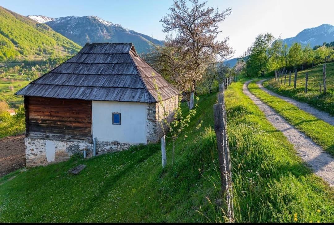 Household Babovic - Old House Miljan'S Valley Andrijevica Esterno foto