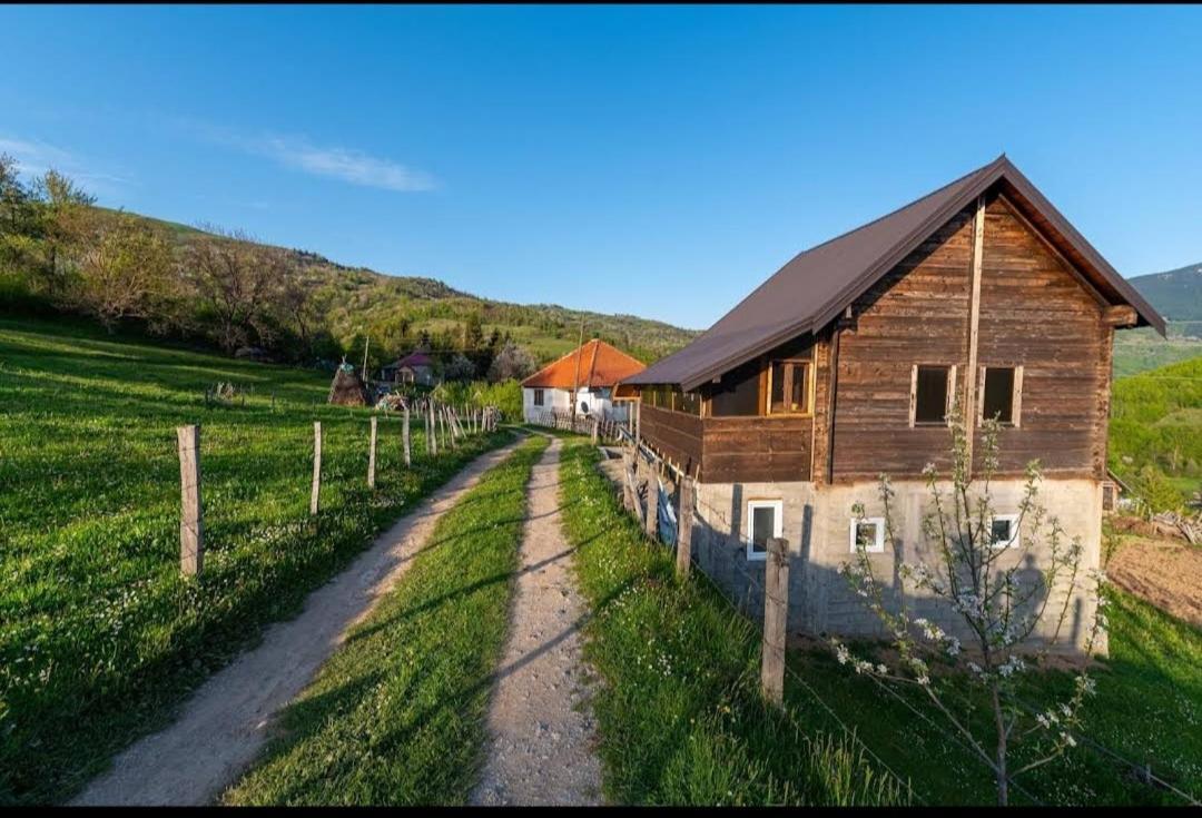 Household Babovic - Old House Miljan'S Valley Andrijevica Esterno foto